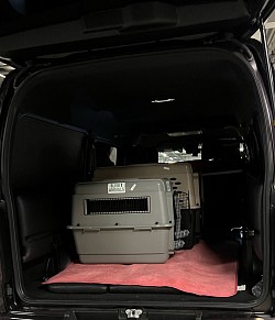 Limo_010