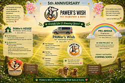 5thPAWer’s