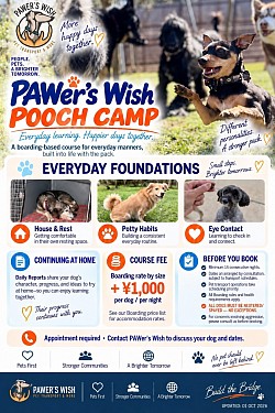 Poochcamp_001