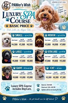 Spa_001